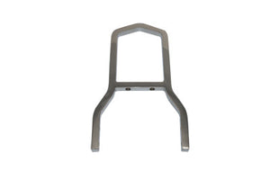 Stock Style Sissy Bar & Side Plate Assembly