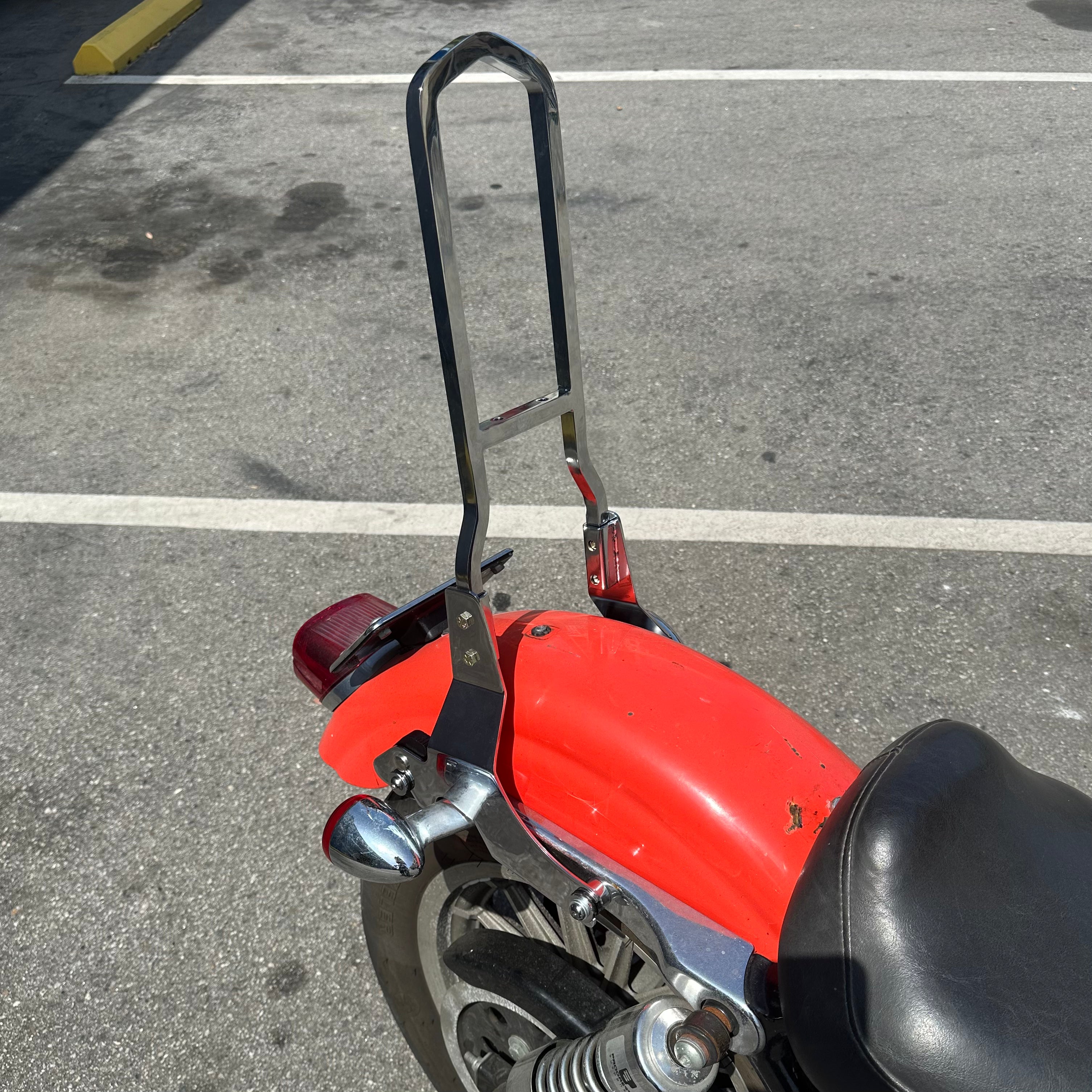 Stock Style Sissy Bar & Side Plate Assembly