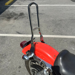 Stock Style Sissy Bar & Side Plate Assembly